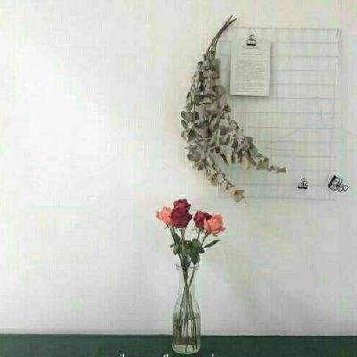 爱游戏·体育APP