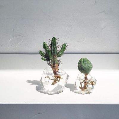 开云电竞手机app下载